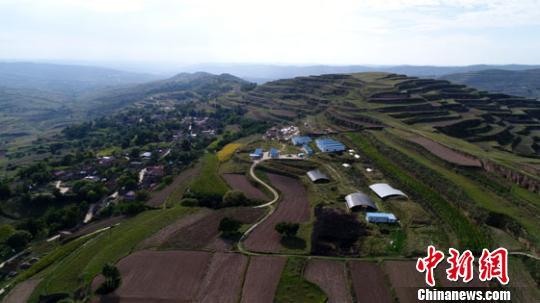资料图。图为甘肃马家塬战国墓地全景。甘肃省文物考古研究所供图