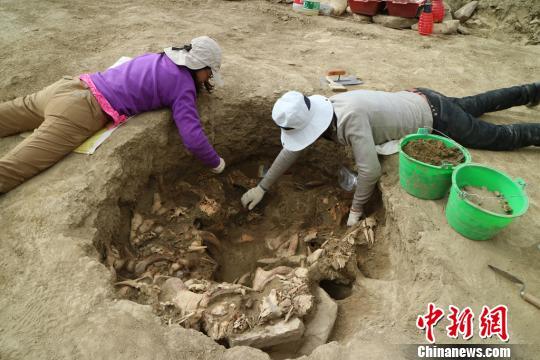 考古人员在发掘清理。陕西省考古研究院供图