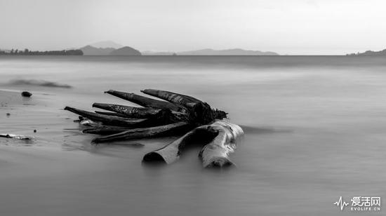 (Nikon D750:F11 ISO 100 25s 105mm )