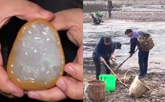 近日，许多人来到重庆江津河滩寻找一种潜质巨大的“石头”。