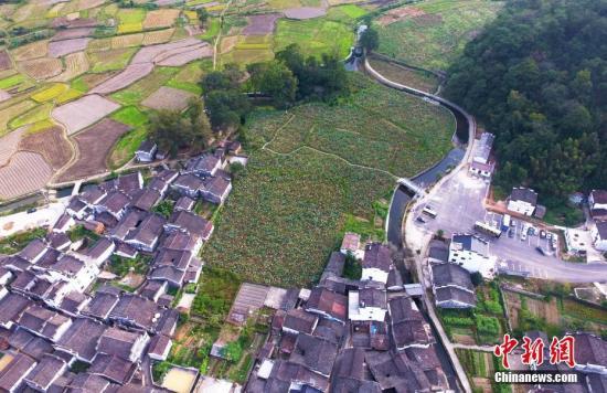 资料图：俯瞰航拍江西婺源田园上的进士村——严田古村，这里从宋自清出了共二十七名进士。刘占昆 摄