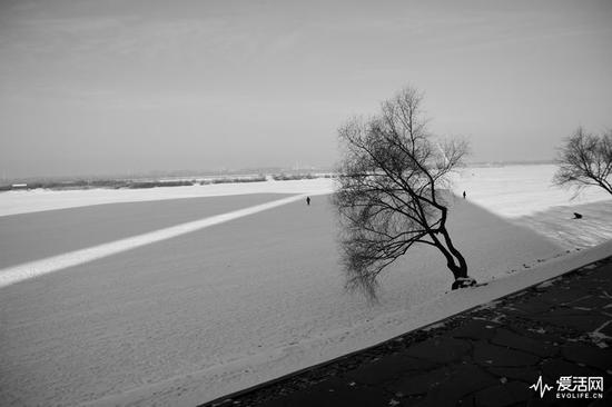(Nikon D7100:F2.8 ISO 100 1/5000s 17mm )