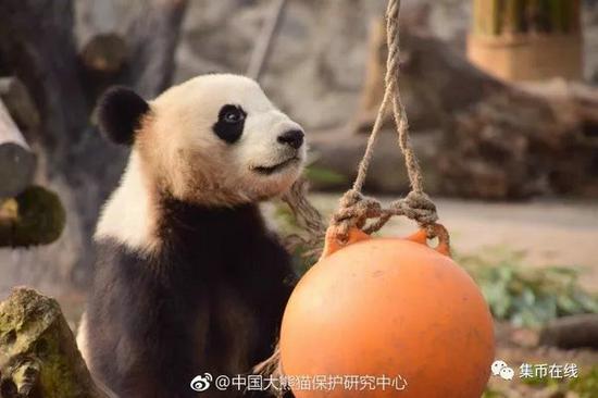 ͼƬ´ڴ򿪲鿴