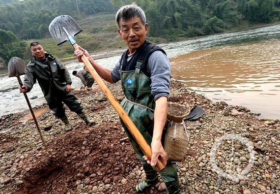 当地老渔民也变身挖玉人。