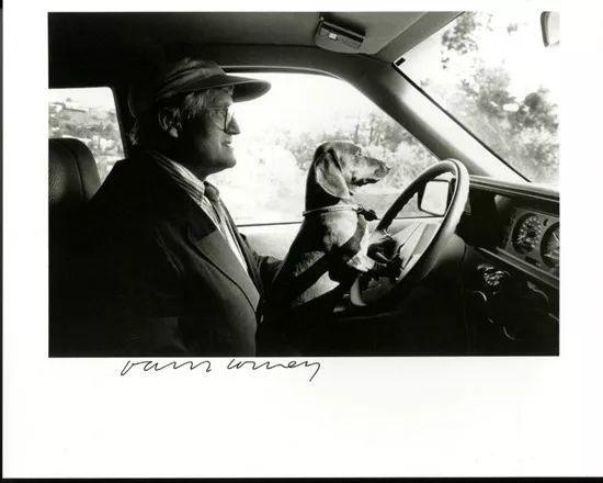 Ray Charles White，《在洛杉矶大卫·霍克尼驾车时抱着斯坦利 》（David Hockney and His Dog Stanley Driving in LA Signed by David Hockney），1989。图片：artnet价格数据库