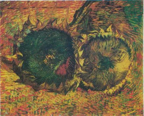 两朵剪下的向日葵 1887布面油画 50 x 60 cm现藏于伯尔尼艺术博物馆