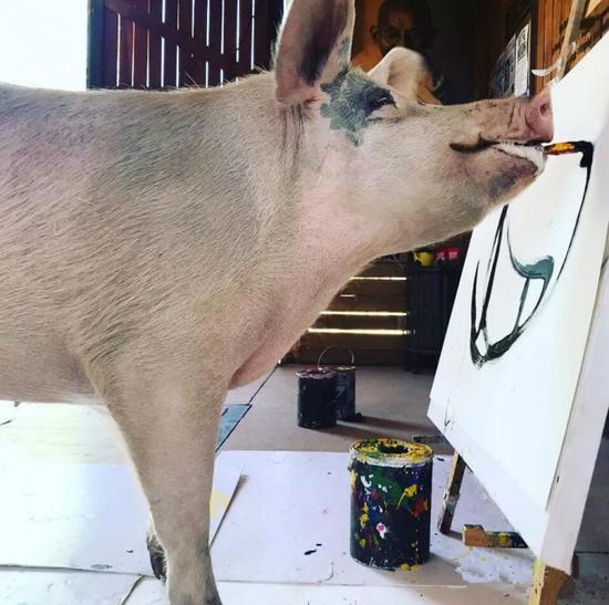 这样看来,看不懂毕加索的抽象画并不可怕,就怕猪也这样画。
