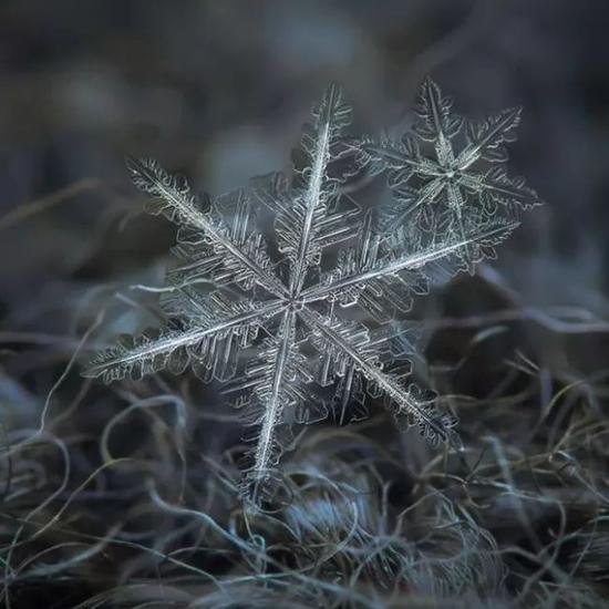 看到这些雪花