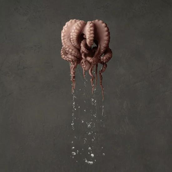 Marie Cécile Thijs，《章鱼》（Octopus，2013）。图片：Courtesy of Smith-Davidson Gallery