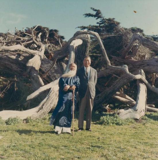 张大千先生与Thomas Chew于蒙特利半岛的柏树前合影 Zhang Daqian and Thomas Chew in front of cypress trees on the Monterey Peninsula