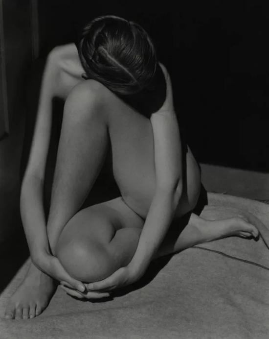 裸女，1981 by Edward Weston