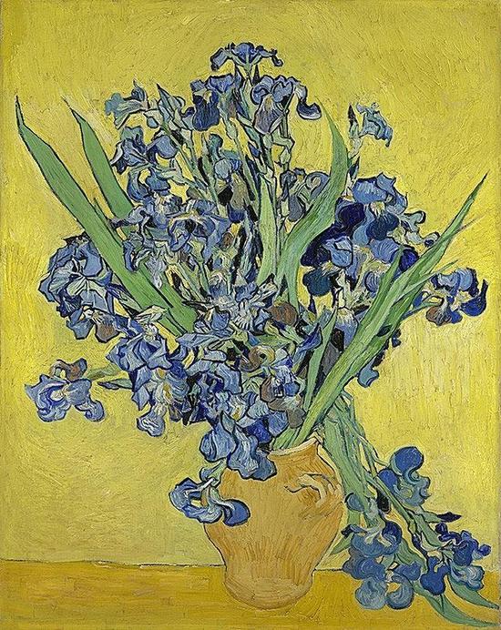 Irises，1890，Vincent van Gogh，梵高博物馆藏