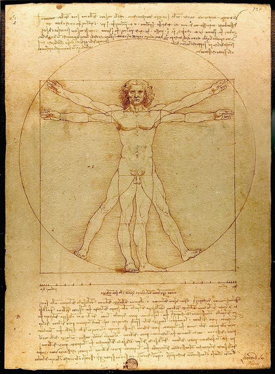 　　《维特鲁威人》（Vitruvian Man），达?芬奇，约1487年，钢笔和墨水，34.4厘米×25.5厘米，威尼斯的学院美术馆