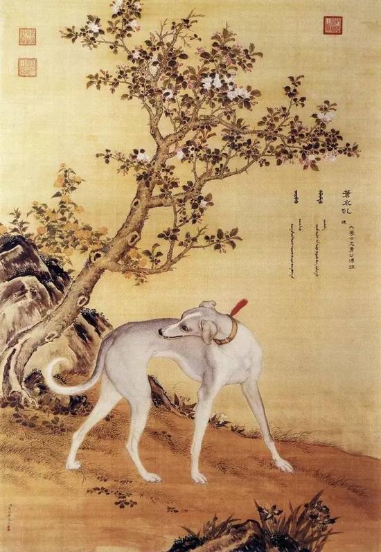 画人难画手画兽难画狗 齐白石 韩美林 黄胄 新浪收藏 新浪网