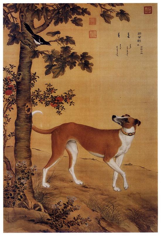 郎世宁 十骏犬图之六 《茹黄豹》