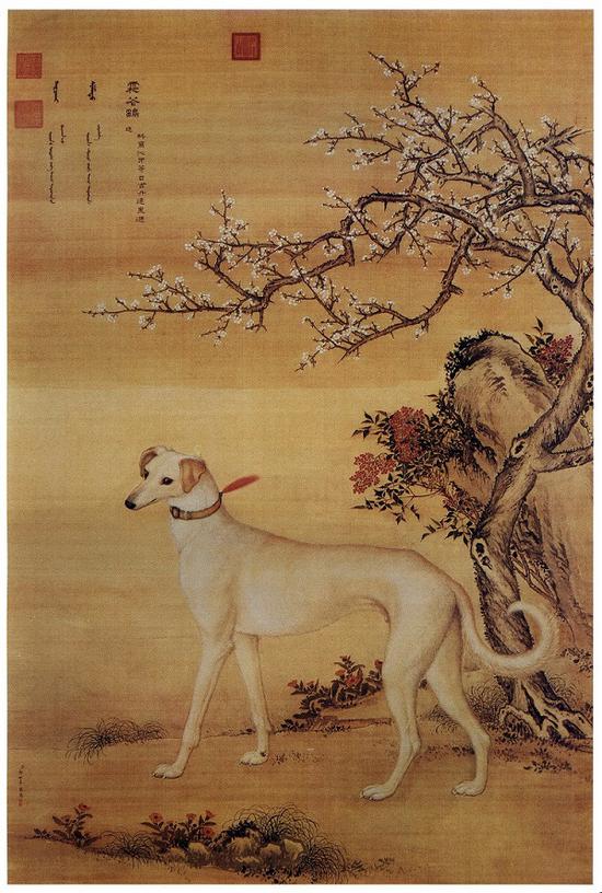 郎世宁 十骏犬图之一 《霜花鹞》台北故宫博物院藏