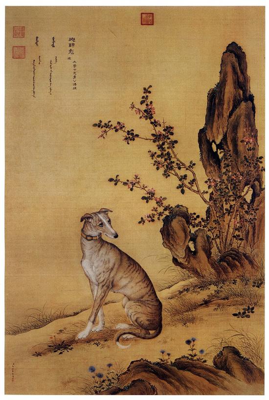 郎世宁 十骏犬图之九 《斑锦彪》