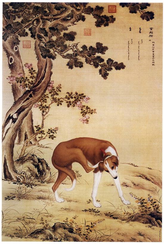 郎世宁 十骏犬图之三 《金翅猃》