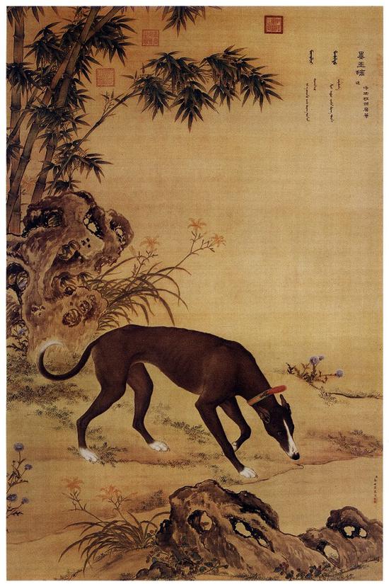 郎世宁画笔下的中国猎犬|我收我藏|天津美术网-天津美术界门户网站