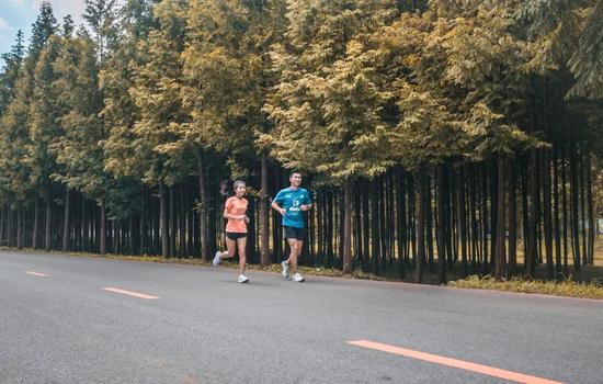 沿着涵养林大道一路慢跑，感受天然氧吧的清新和纯粹。