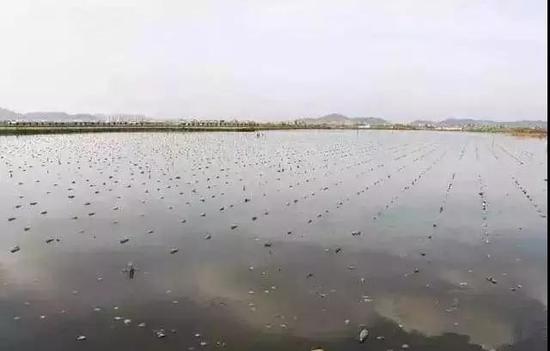 图片点击可在新窗口打开查看