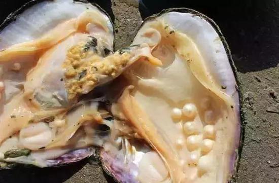 图片点击可在新窗口打开查看