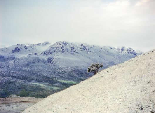 崔博《第二次确认》：尺寸70X50cm 摄影