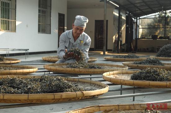 七人口云南_云南人口密度分布图