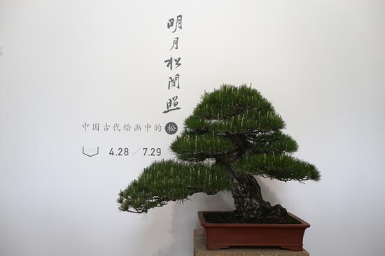 馆内空镜