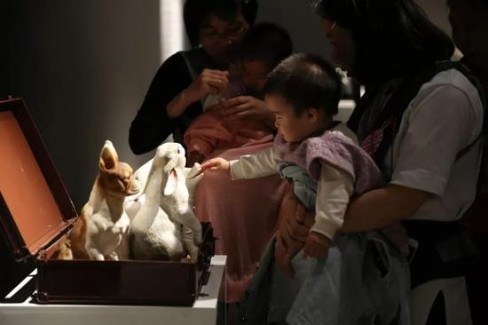 图片点击可在新窗口打开查看