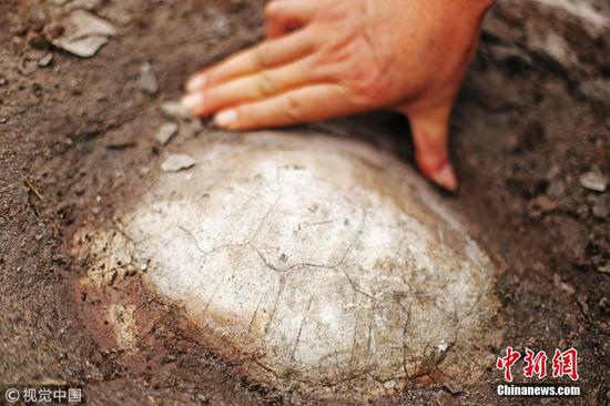 夏昌铭 摄 图片来源:视觉中国