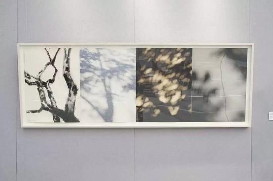 展览现场:芭芭拉·爱德斯坦 《自然-自在》系列