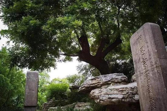 今北京景山公园内崇祯皇帝自缢处