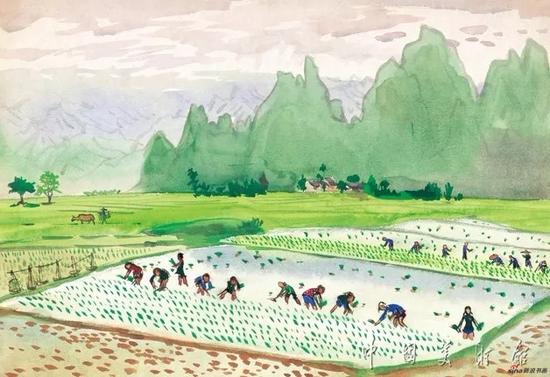 插秧,周令钊,1962