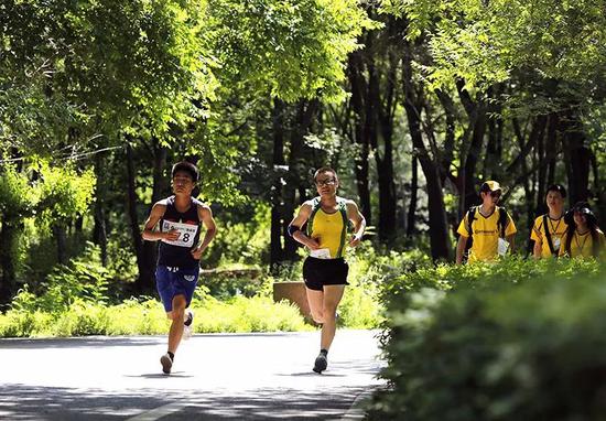 图片点击可在新窗口打开查看