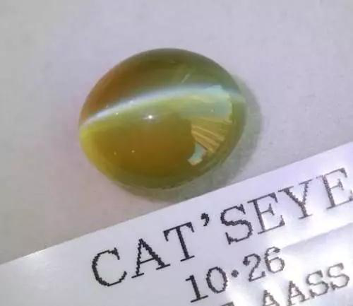 上图中是在拍卖场上的猫眼石