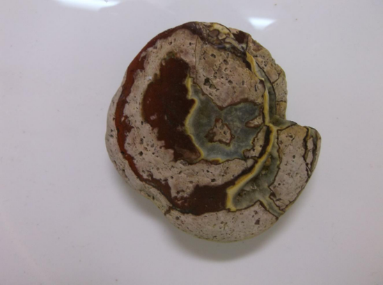 四人行 7.5x7cm 此石据说是罕见的螺类外核或内模化石~雨花石