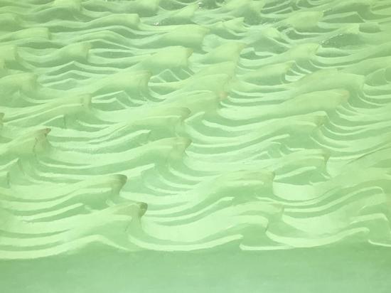 长江万顷(局部)