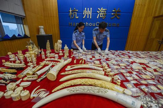 图为5月18日，杭州海关工作人员清点查获的走私象牙工艺品。新华社记者 徐昱 摄