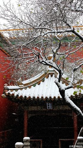 故宫雪景照。图片来源：故宫博物院官方微博