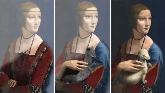 达·芬奇《抱银鼠的女子》的三个不同阶段 图片：via BBC。