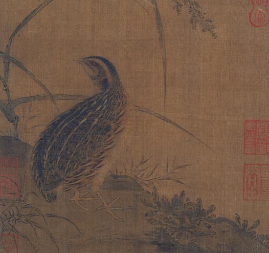 南宋佚名《鹌鹑图页》