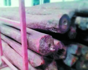 和小叶紫檀很接近的赞比亚血檀原木(资料图片)