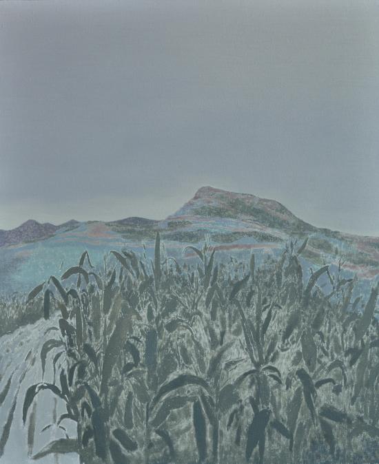 孙丰刚 玉米地 50x60cm 2011 布面油画