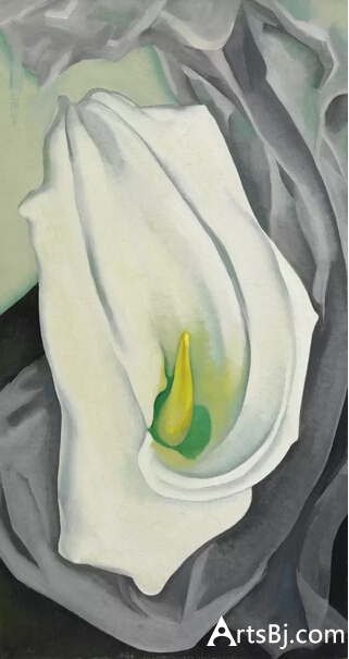 乔治亚·欧姬芙作品《白色马蹄莲》