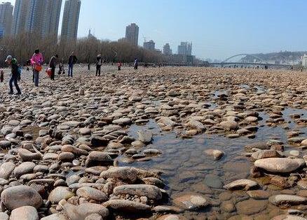市民黄河捡石头:捡石大军散布河床 对警示牌不屑一顾