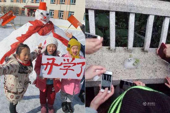 广州雪人与东北雪人相比,还真是一个Baby