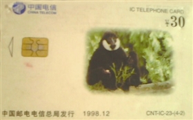 “猴年”电话卡上的猴子