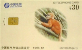 “猴年”电话卡上的猴子