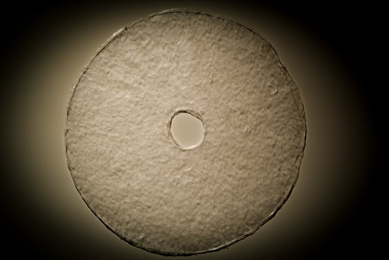 03 ���ܻ�Liang Shaoji ƽ������ 2014 ��˿ װ�� 175��175cm